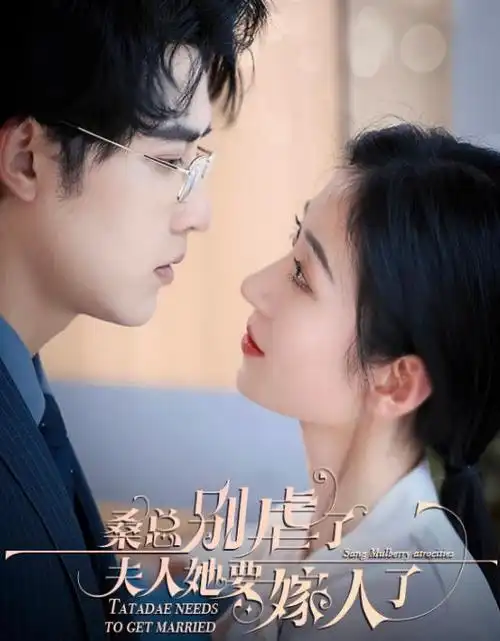 99免费视频情感短剧《离婚倒计时》海报